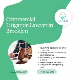 Expert Commercial Litigation Lawyer Brooklyn for C, Brooklyn