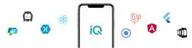  Software Development Company in Chicago | iQlance, Dallas