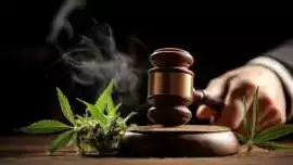 #1 Dispensary Law Firm, New York