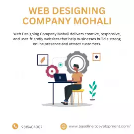 Affordable Website Design Solutions in Mohali, Mohali