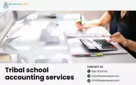 Tribal Government Accounting Services for Strong F, San Diego