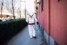 Buzz Boss Pest Control Company in Red Deer – Fast , Red Deer