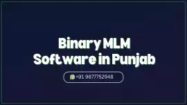 Looking for Reliable MLM Software in Punjab?, Chandigarh