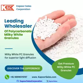 Wholesaler of Polycarbonate Milky White Granules, New Delhi