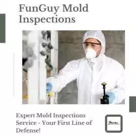 Mold Removal Company Near Me | Funguy Inspections, Los Angeles