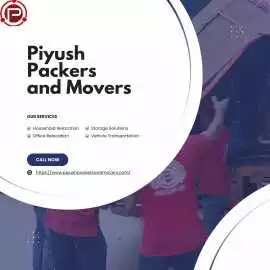 Packers and Movers with Storage Services