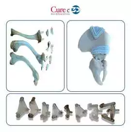 Next-Generation Orthopedic Implants for Improved P, Delhi
