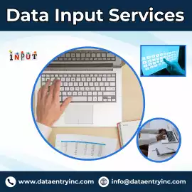 Best Data Input Services in India, Ahmedabad