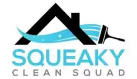 Squeaky Clean Squad - Cleaning Services in Miami, Miami