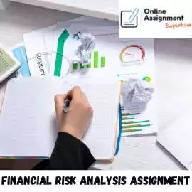 Expert Financial Risk Analysis Assignment Help, Sydney
