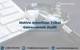 Native American Tribal Government Audit Services w, San Diego