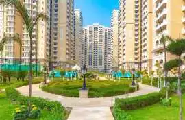 Luxury 1 BHK Apartments in Greater Noida , Noida