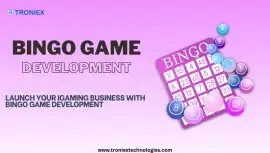 Launch Your iGaming Business with Bingo Game, Madurai