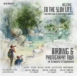 Capture the Slow Life: Birding & Photography 