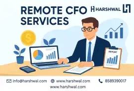 Remote CFO Services – Affordable Virtual Financial, San Diego