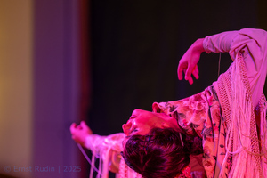 Flamenco Night at Bohemia