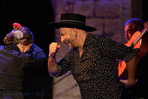 Flamenco en el ONO