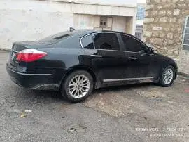 Honda Genesis 2009, Aleppo