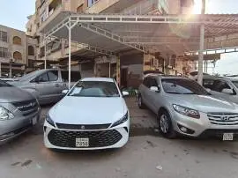 BYD QIN PLUS 2025, Hama