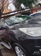 Hyundai Tucson 2010, Homs