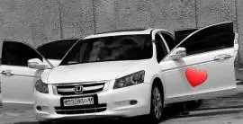 Honda Accord 2011, Damascus
