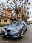 Hyundai Genesis 2010, Homs