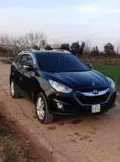 Hyundai Tucson 2011, Hama