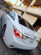 Hyundai Elantra 2012, Hama