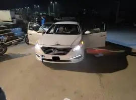 Hyundai Sonata 2015, Hama