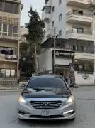 Sonata 2016, Aleppo