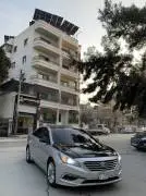 Sonata 2016, Aleppo