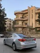 Sonata 2016, Aleppo