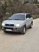 Hyundai Santa Fe 2004