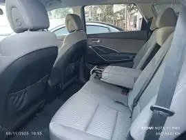 Max Cruze 2014, Damascus, RF31556661