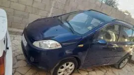 شيري كرت 2011, حمص