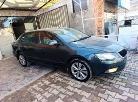 سكودا سبر بي 2014, حلب, RF86525805
