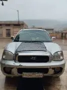 Hyundai Santa Fe 2004