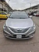 Hyundai Sonata 2013, Homs