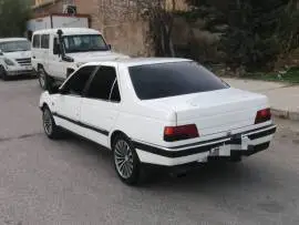 Peugeot 405 Model 1994, RF17008850