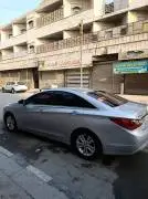 Hyundai Sonata 2011, RF16550022