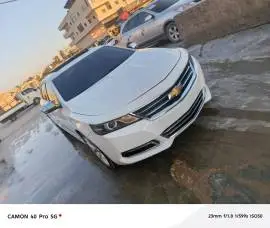 شفر امبالا 2017, RF19598019