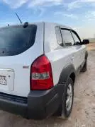 Hyundai Tucson 2006, RF20383924