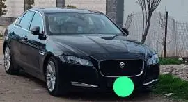 جاكوار xf 2016, درعا, RF17532253