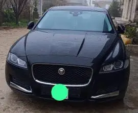 جاكوار xf 2016, درعا, RF17532253