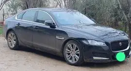 جاكوار xf 2016, درعا, RF17532253