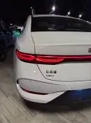 BYD SHEN 2025, Damascus, RF76748763