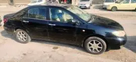 BYD 2011, دمشق, RF49204590