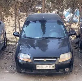 شفر أفيو 2007, دمشق, RF20306934