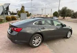 شفر ماليبو 2017, دمشق, RF9503027