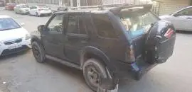 لاند ويند 2009, دمشق, RF13212326